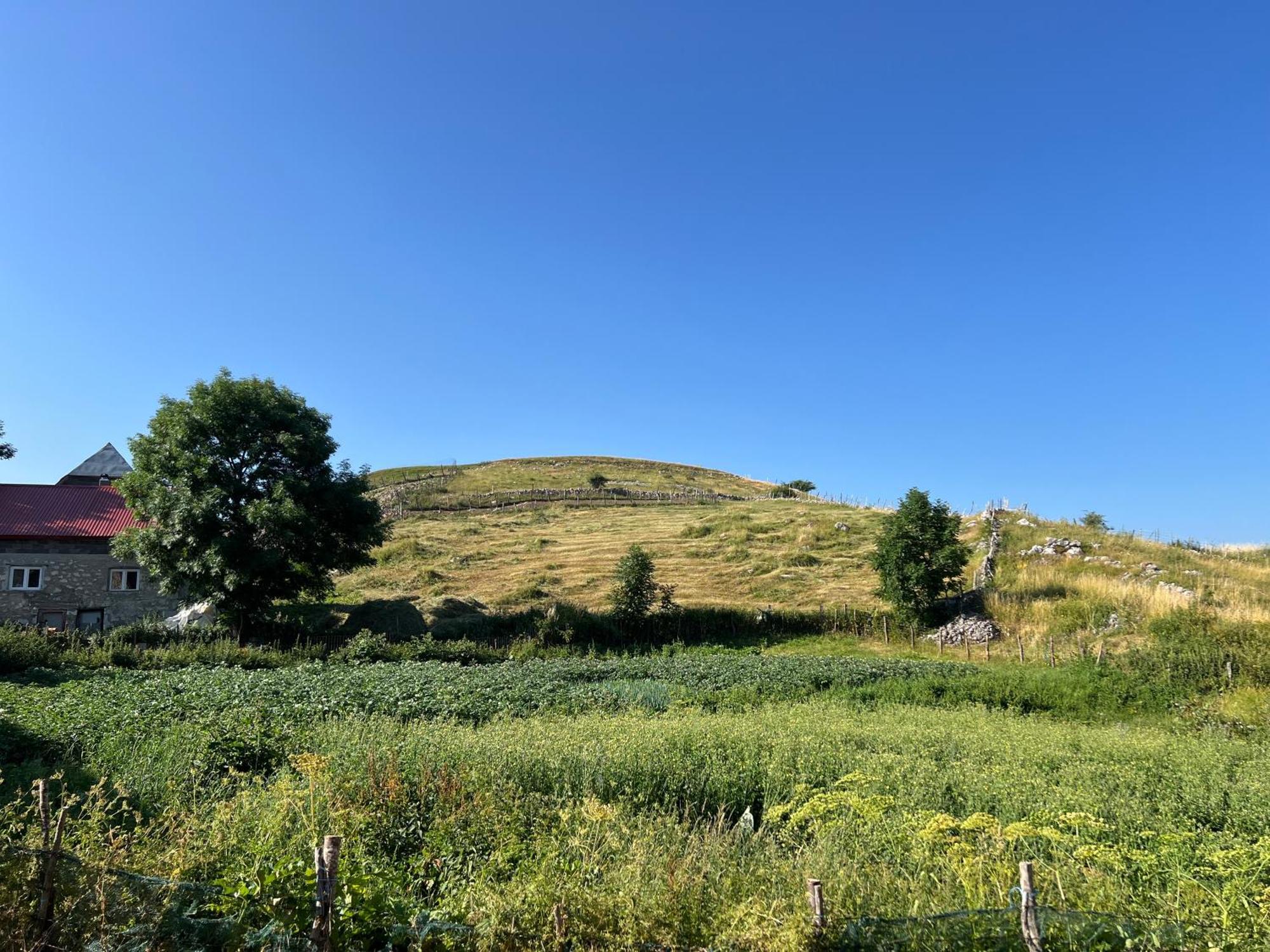 Bed and Breakfast Kod Kapetana Tea Gornji Lukomir Zewnętrze zdjęcie